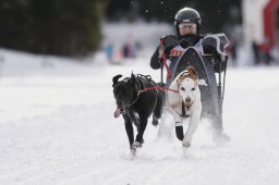 Lenzerheide 2013